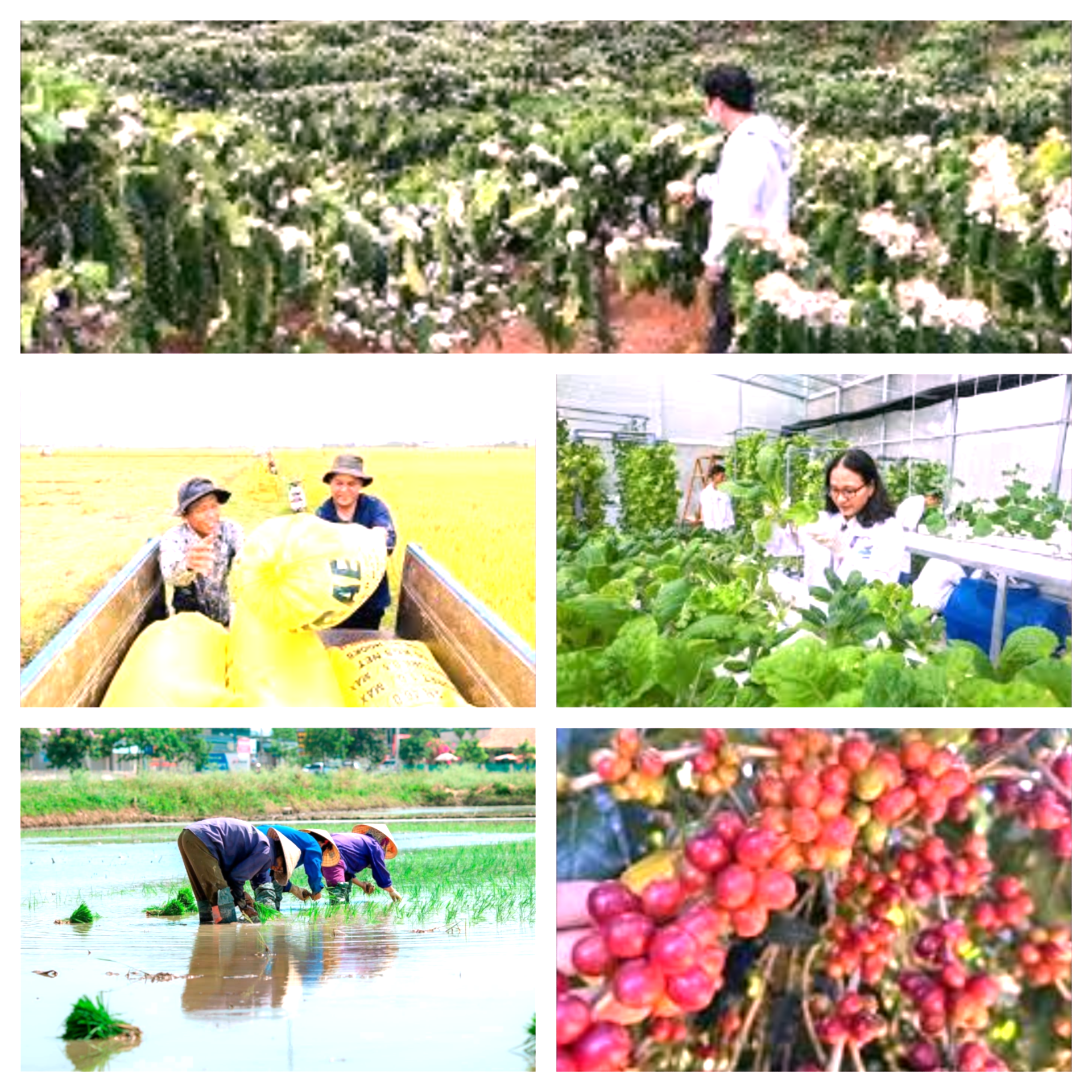 Đổi mới mạnh mẽ tư duy và hành động để phát triển nông thôn bền vững