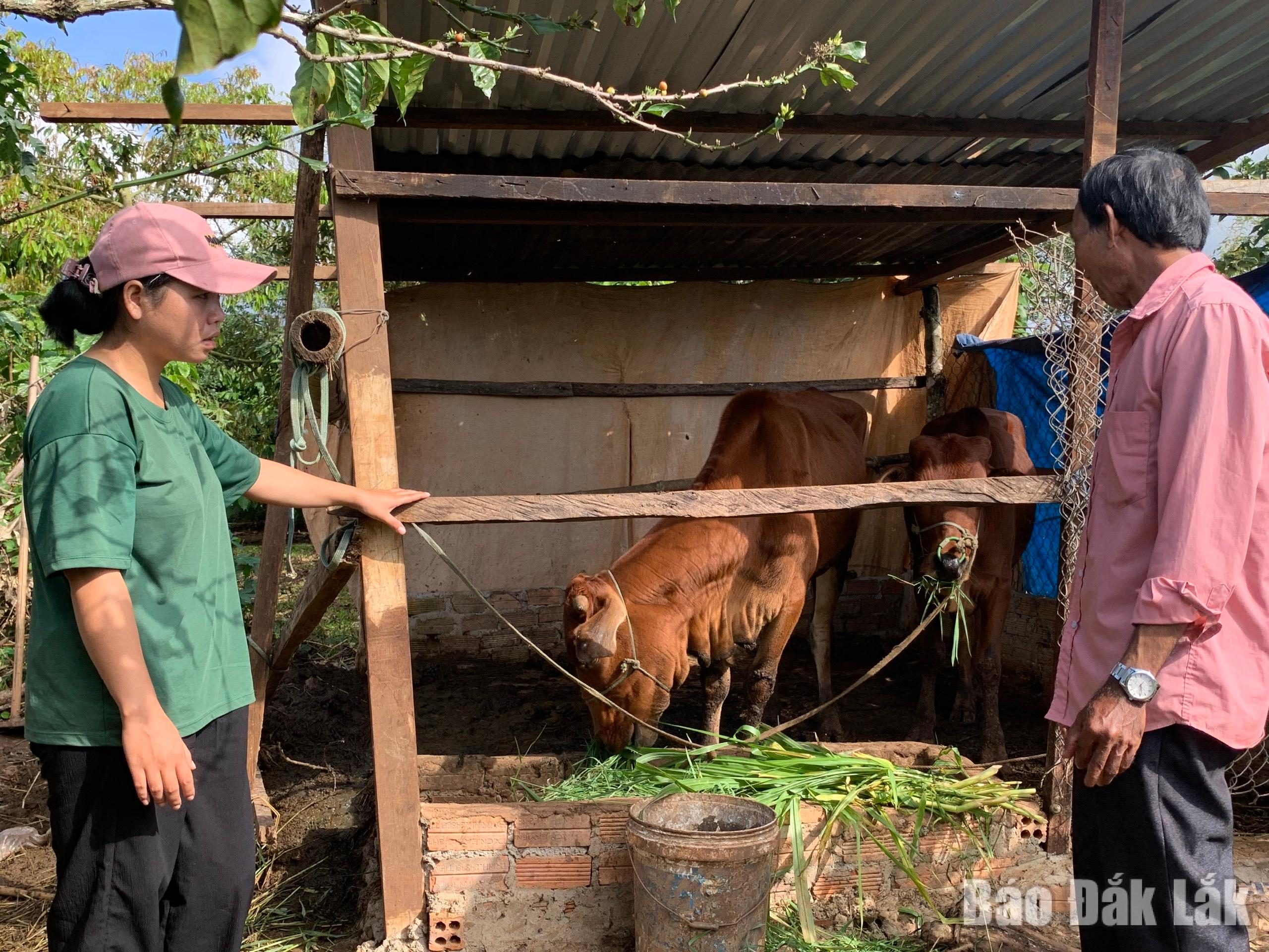 Nỗ lực giảm nghèo bền vững