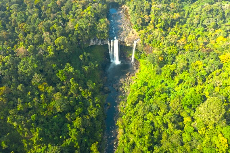 Khởi động sáng kiến 102 triệu USD bảo vệ rừng, cải thiện sinh kế nông thôn