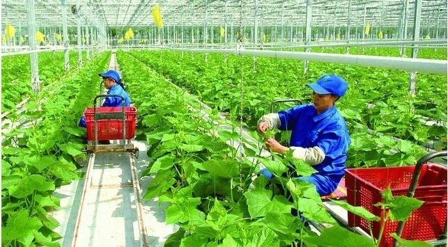 doi-moi-cong-tac-dao-tao-nghe-132723-914-140227