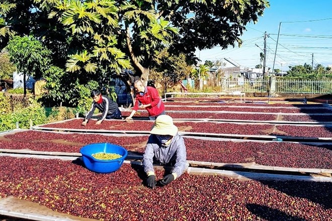 Đắk Lắk từng bước nâng cao giá trị chuỗi nông - thủy sản, tạo nền tảng triển khai chính sách liên kết giai đoạn 2026-2030