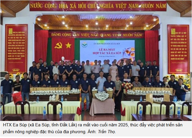 Đắk Lắk phấn đấu có hơn 200 HTX nông nghiệp ứng dụng công nghệ cao