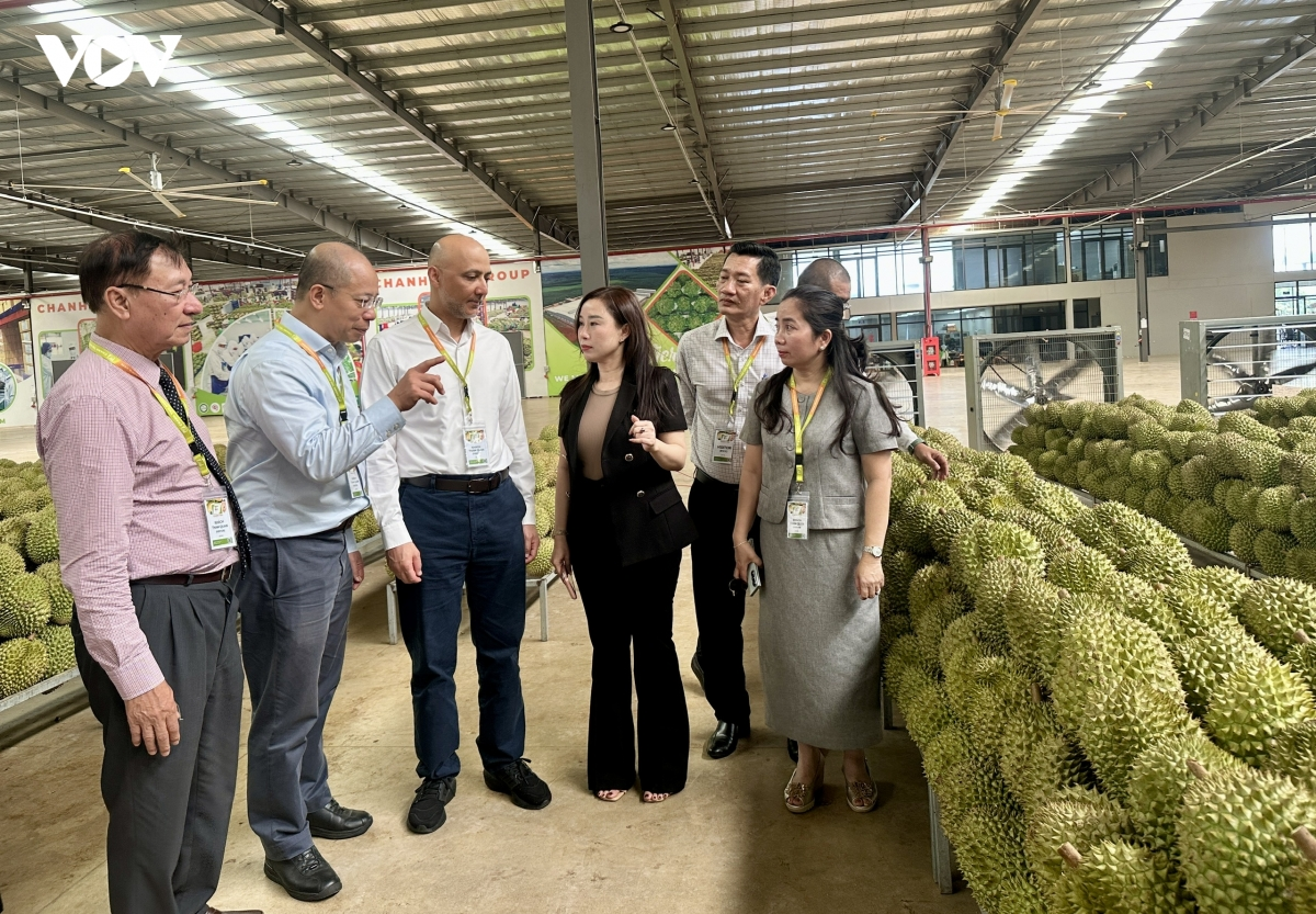 Nông nghiệp Đắk Lắk chuyển từ chiều rộng năng suất sang chiều sâu chất lượng