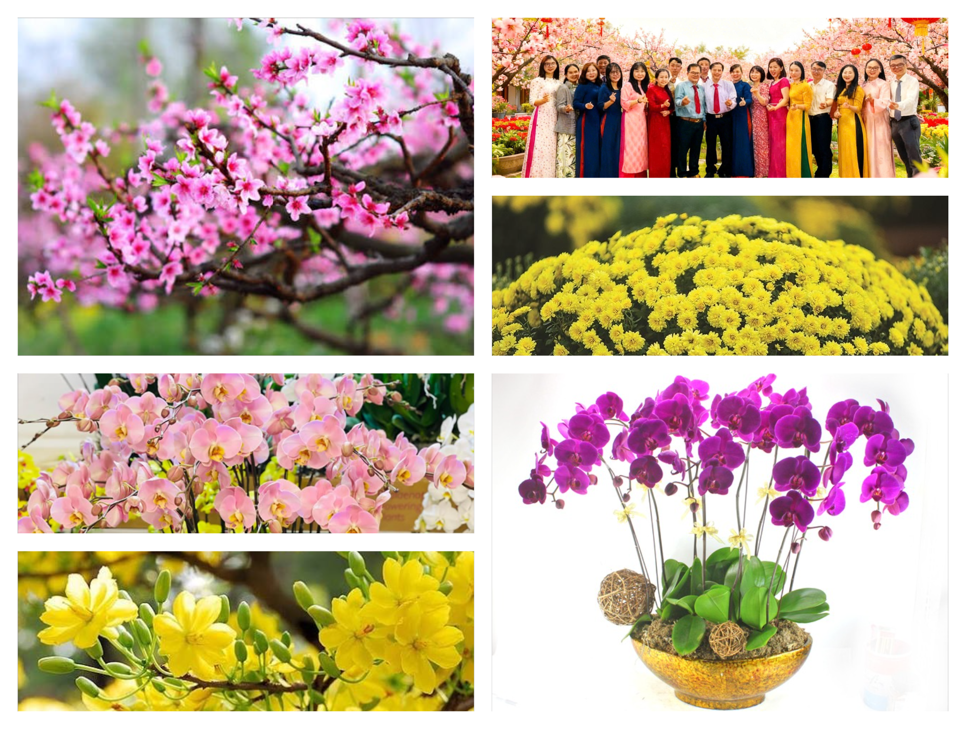 Ấm áp nghĩa tình Xuân Bính Ngọ 2026 tại Chi cục Phát triển nông thôn tỉnh Đắk Lắk