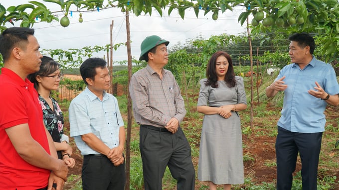 Khuyến nông Việt Nam: Thông điệp tuổi 30 - niềm tin và trách nhiệm